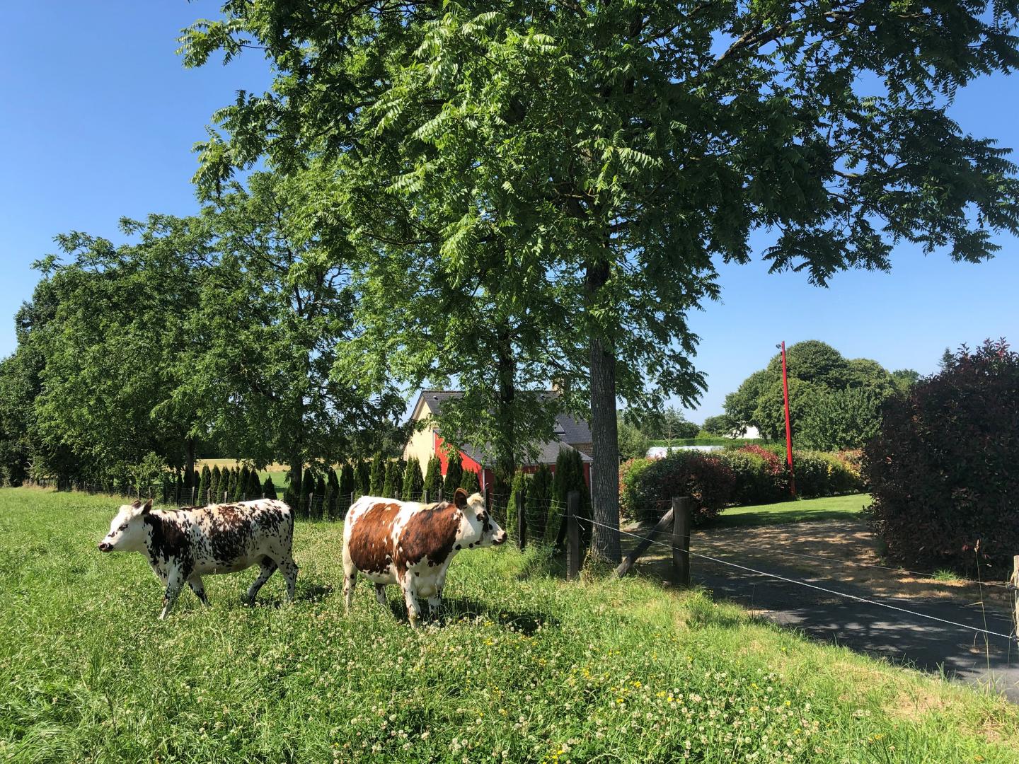 Gîtes de France G499 : La Vincendière, Isigny-le-Buat - photo 41