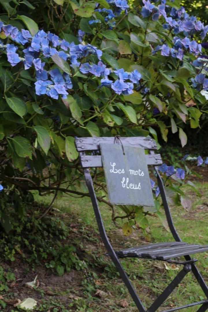 Gîtes de France G554 : Les Mots Bleus