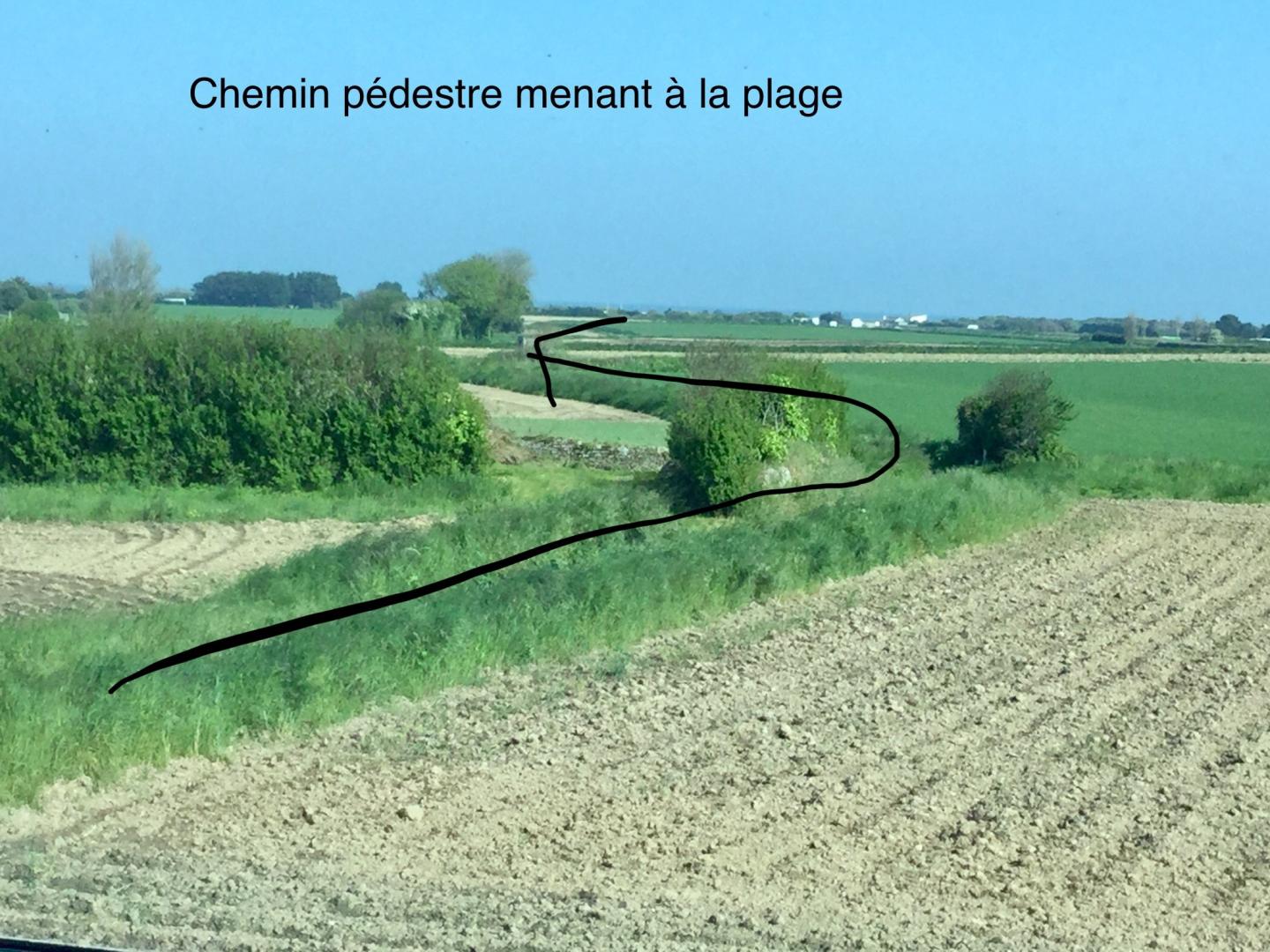 Gîtes de France G556 : Le Herdre, Réville - photo 123