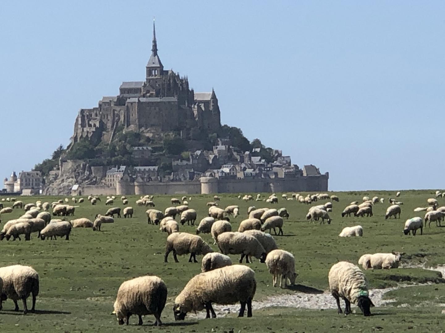 Gîtes de France G642 : Le Gîte de la Rose de Ducey, Ducey-Les Chéris - photo 202