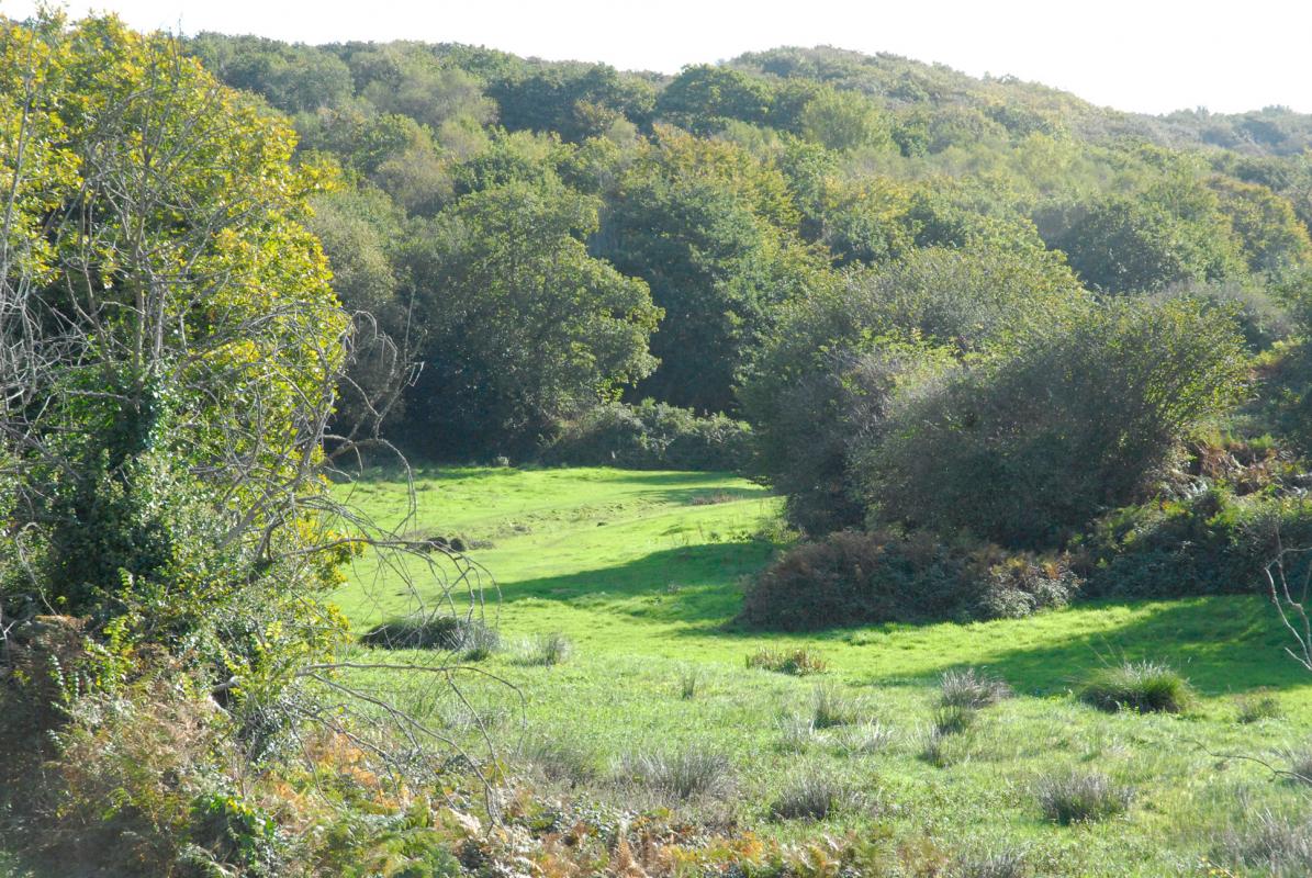 Gîtes de France G677 : Le Moulin Cardin, Fermanville - photo 140