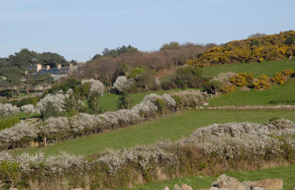 Gîtes de France G677 : Le Moulin Cardin, Fermanville - photo 132