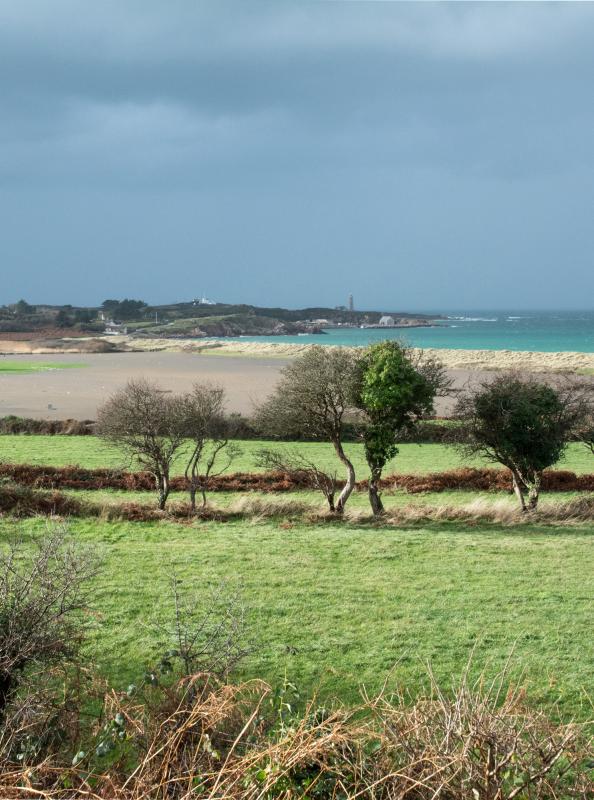 Gîtes de France G677 : Le Moulin Cardin, Fermanville - photo 129