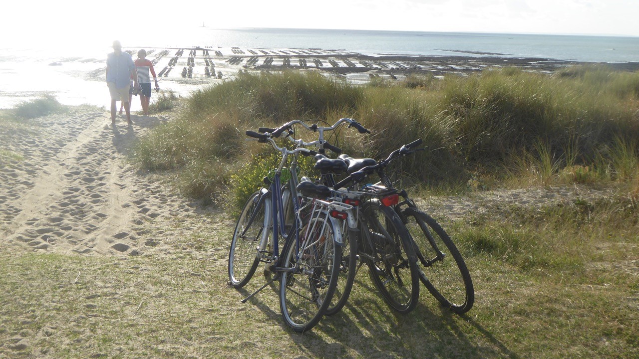 Gîtes de France G678 : La fermette d'Arthur, Gouville-sur-Mer - photo 208