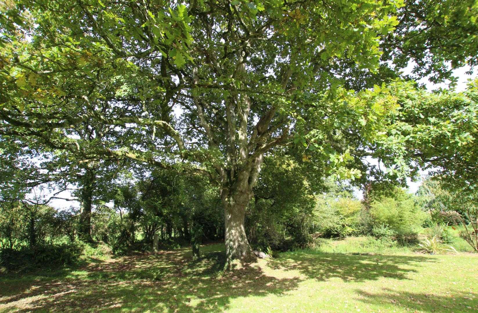 Gîtes de France G698 : Le Cottage de Savigny