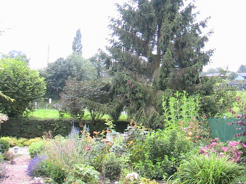 Gîtes de France G7 : La jardinière de bas, Saint-Lô - photo 82
