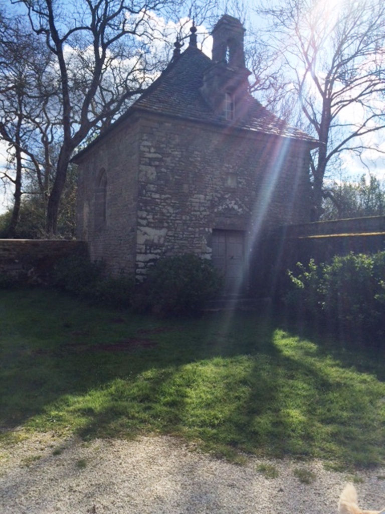 Gîtes de France G707 : Le château de Briquebosq — photo 3