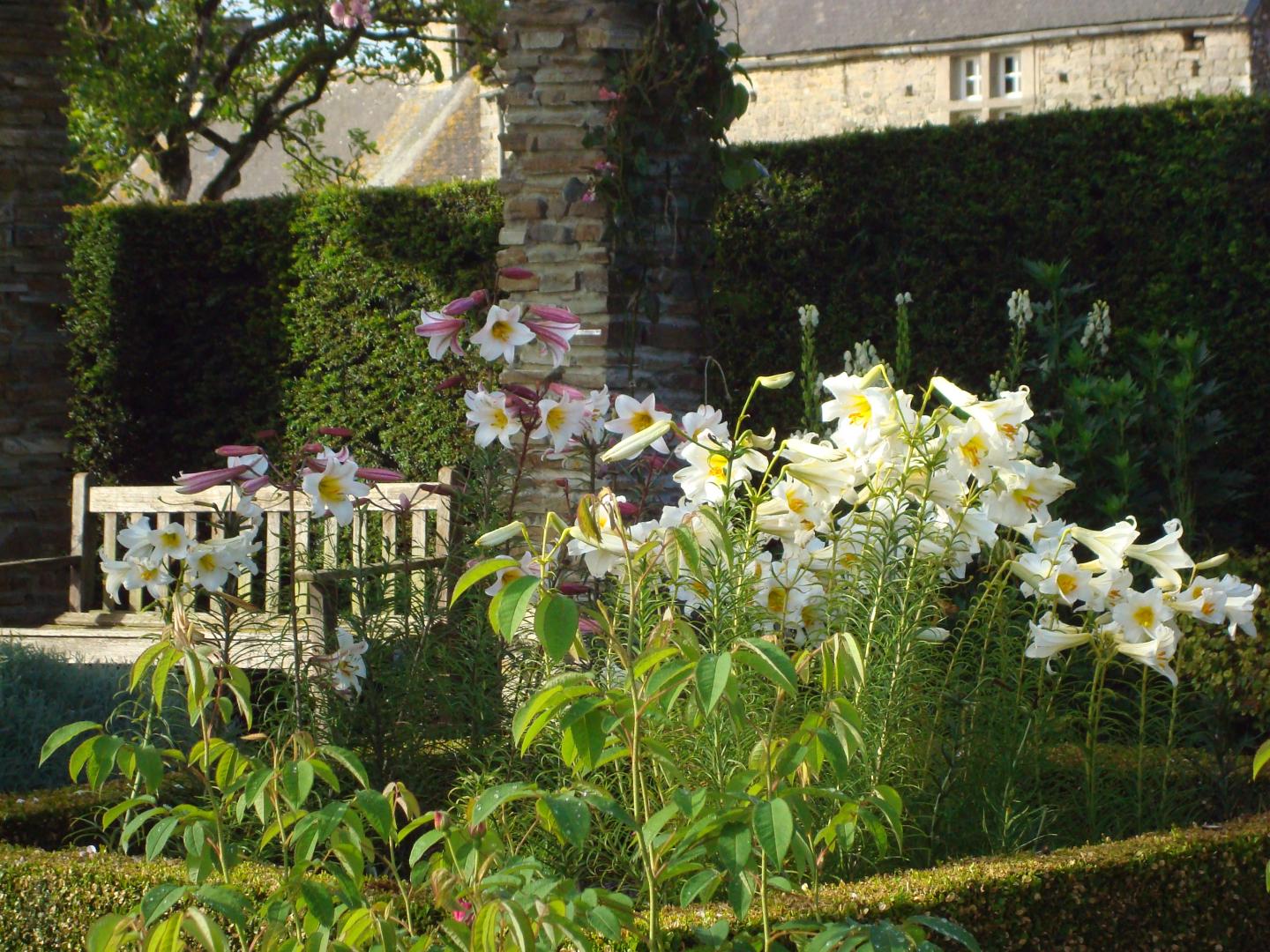 Gîtes de France G739 : Le Logis aux Hortensias, Saint-Germain-le-Gaillard - photo 87