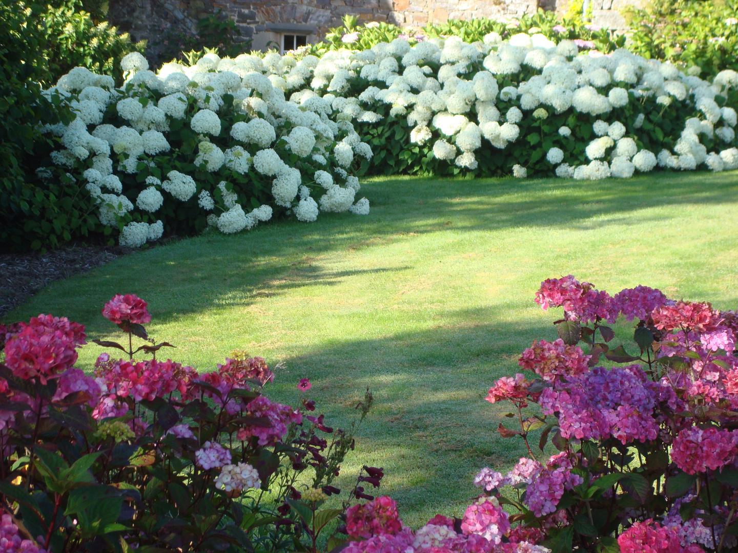 Gîtes de France G739 : Le Logis aux Hortensias, Saint-Germain-le-Gaillard - photo 81