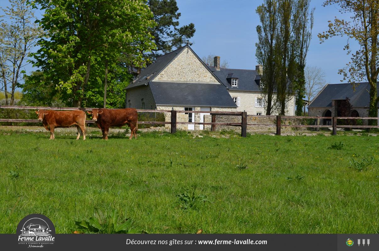 Gîtes de France G772 : L'Amandière