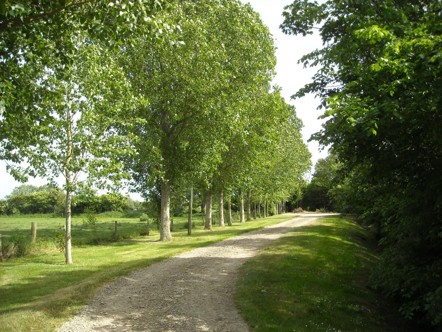 Gîtes de France G773 : Cussy, Saint-Marcouf - photo 4