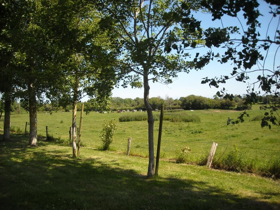 Gîtes de France G773 : Cussy, Saint-Marcouf - photo 13