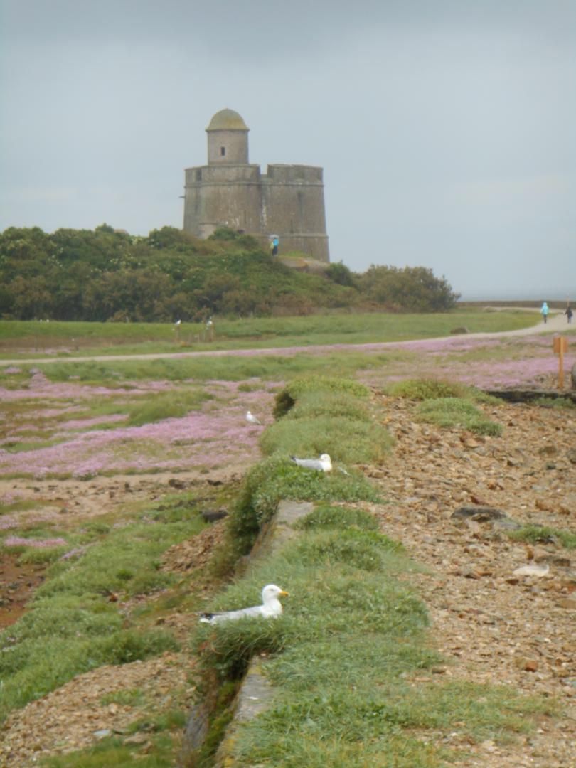 Gîtes de France G773 : Cussy, Saint-Marcouf - photo 6