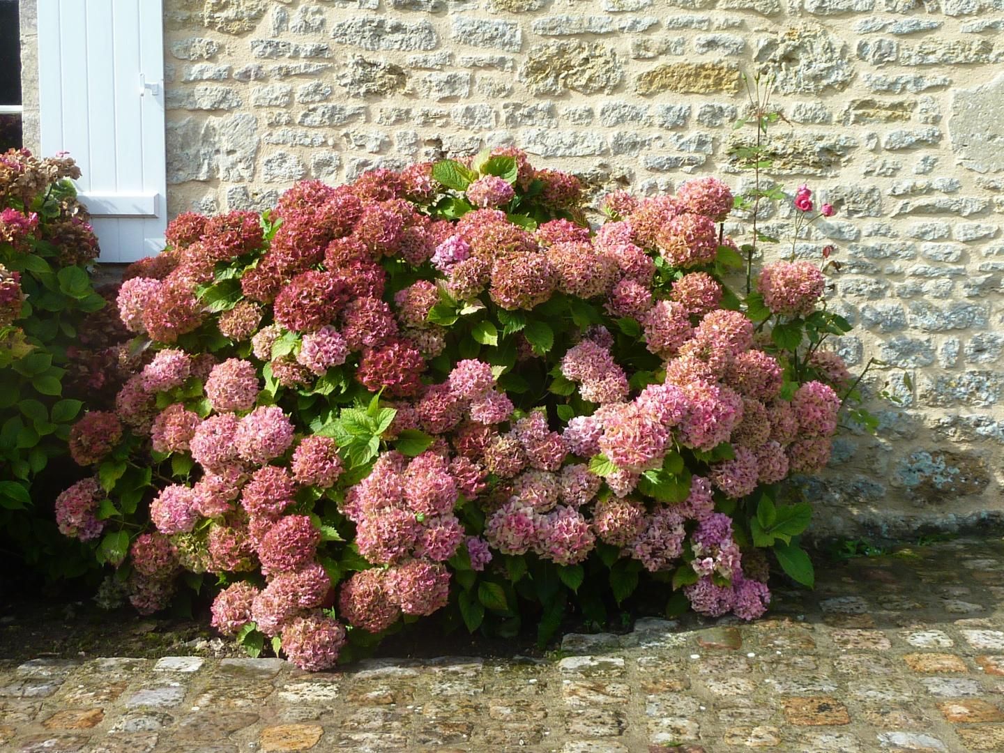 Gîtes de France G773 : Cussy, Saint-Marcouf - photo 9