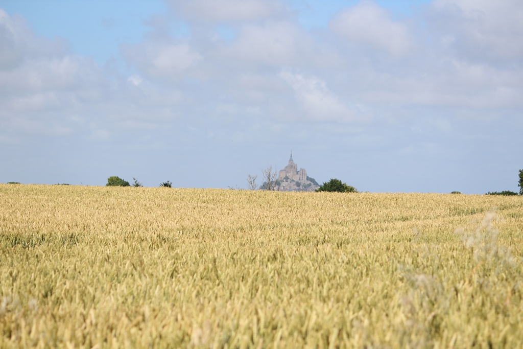 Gîtes de France G808 : Pommier, Pontorson - photo 83