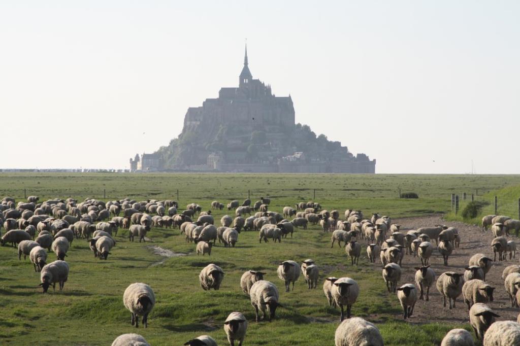 Gîtes de France G808 : Pommier, Pontorson - photo 89