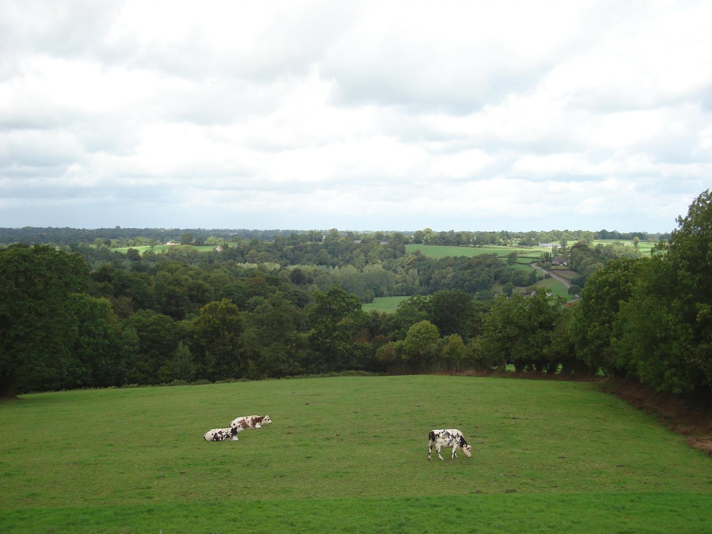 Gîtes de France G814 : La Grange, Gavray-sur-Sienne - photo 169