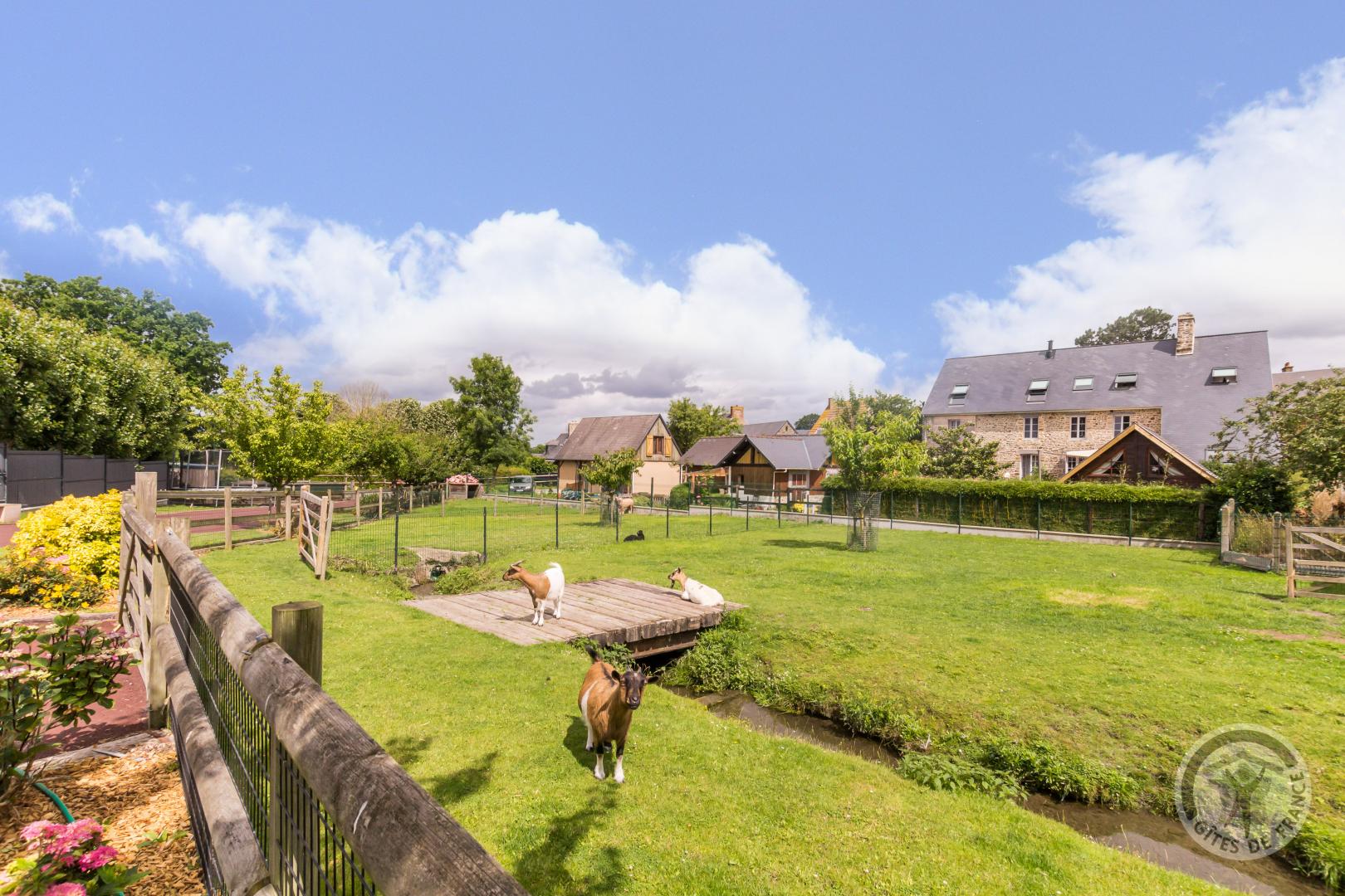 Gîtes de France G827 : Le Jardin de la Baie, Dragey-Ronthon - photo 124