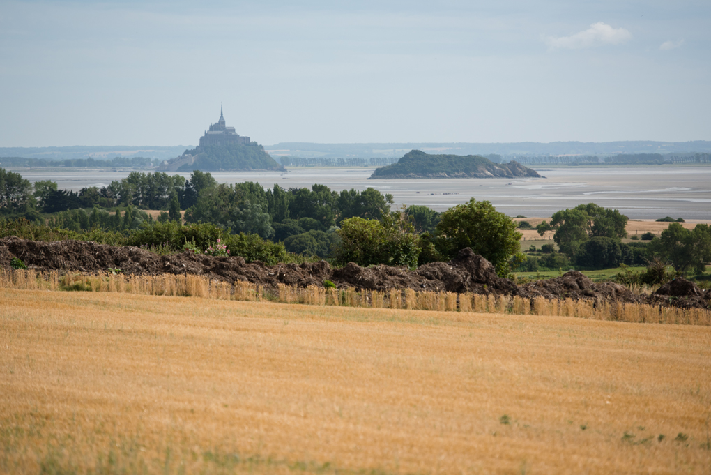 Gîtes de France G827 : Le Jardin de la Baie, Dragey-Ronthon - photo 130