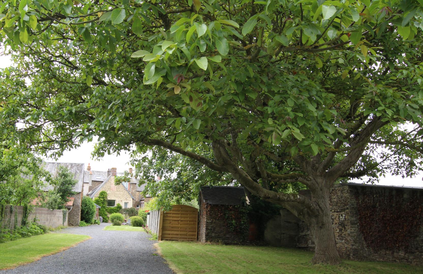 Gîtes de France G837 : Maresca, Cerisy-la-Forêt - photo 241