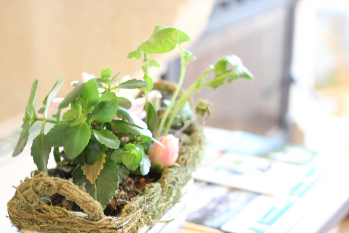 Clévacances H842, Barfleur - photo 12