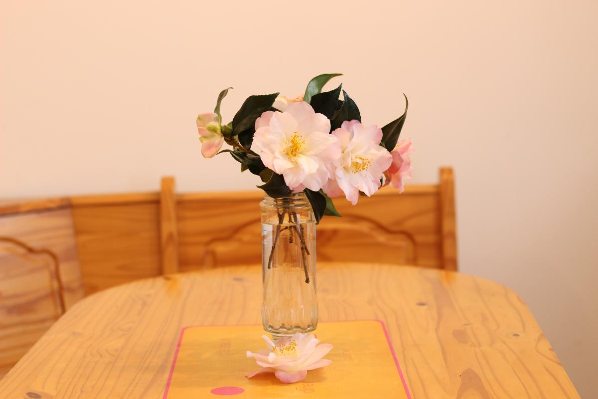 Clévacances H844, Barfleur - photo 3