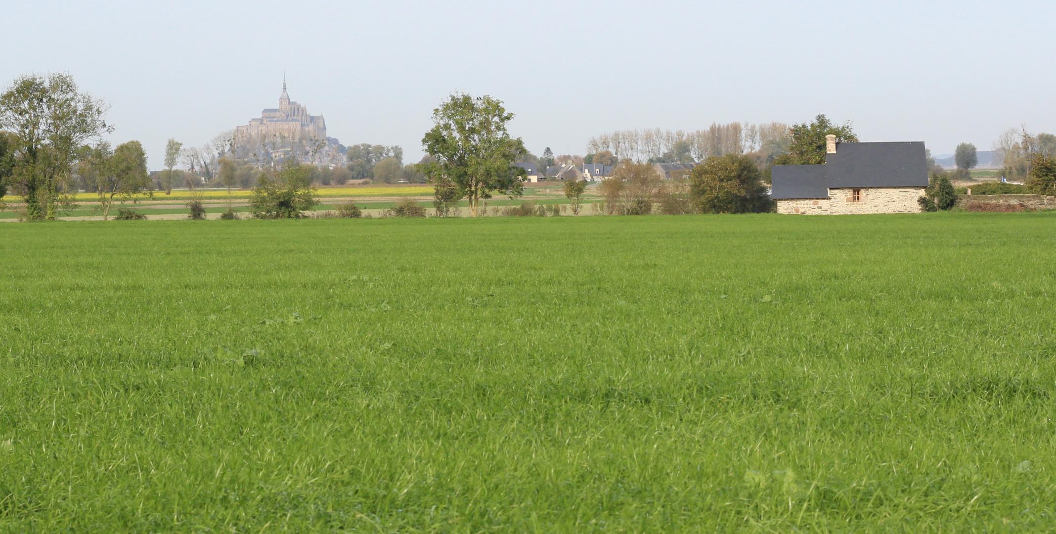 Gîtes de France G868 : Archange, Pontorson - photo 97