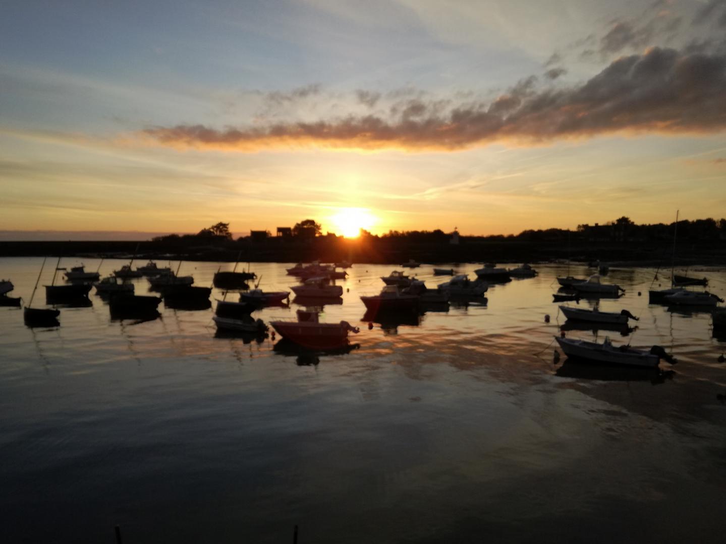 Gîtes de France G873 : Varengue, Barfleur - photo 217