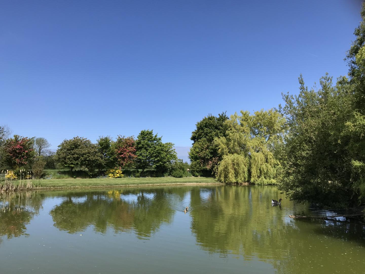 Gîtes de France G9 : La Maison Varin, Geffosses - photo 50