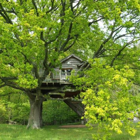 ST MARD DE RENO LA CABANE DU PERCHE