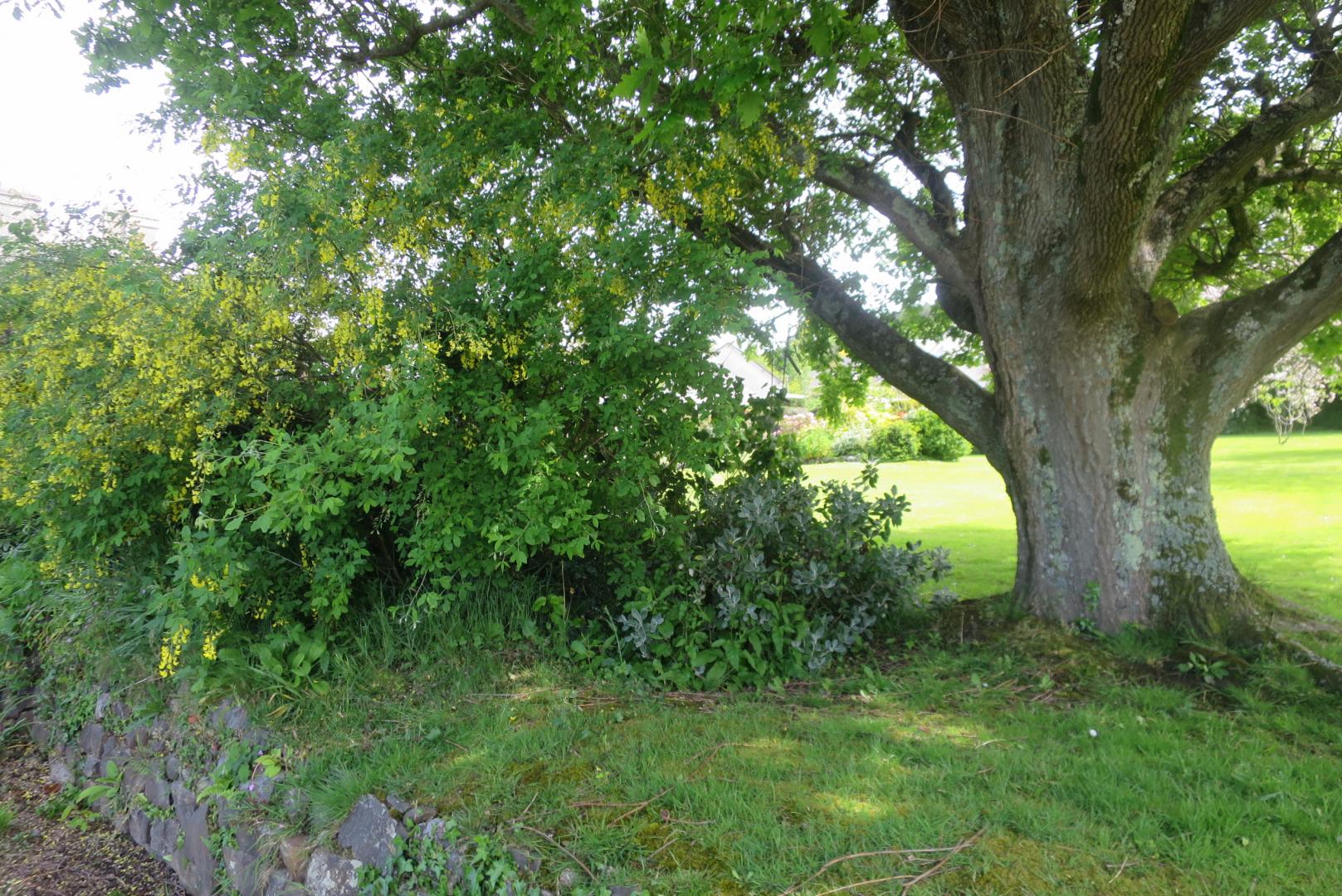 Gîtes de France G922 : La Ferme du Maupas, Cherbourg-en-Cotentin - photo 81