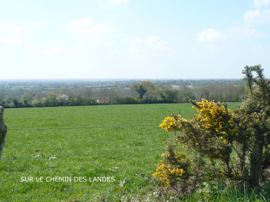 Gîtes de France G94 : les Hirondelles, Laulne - photo 37