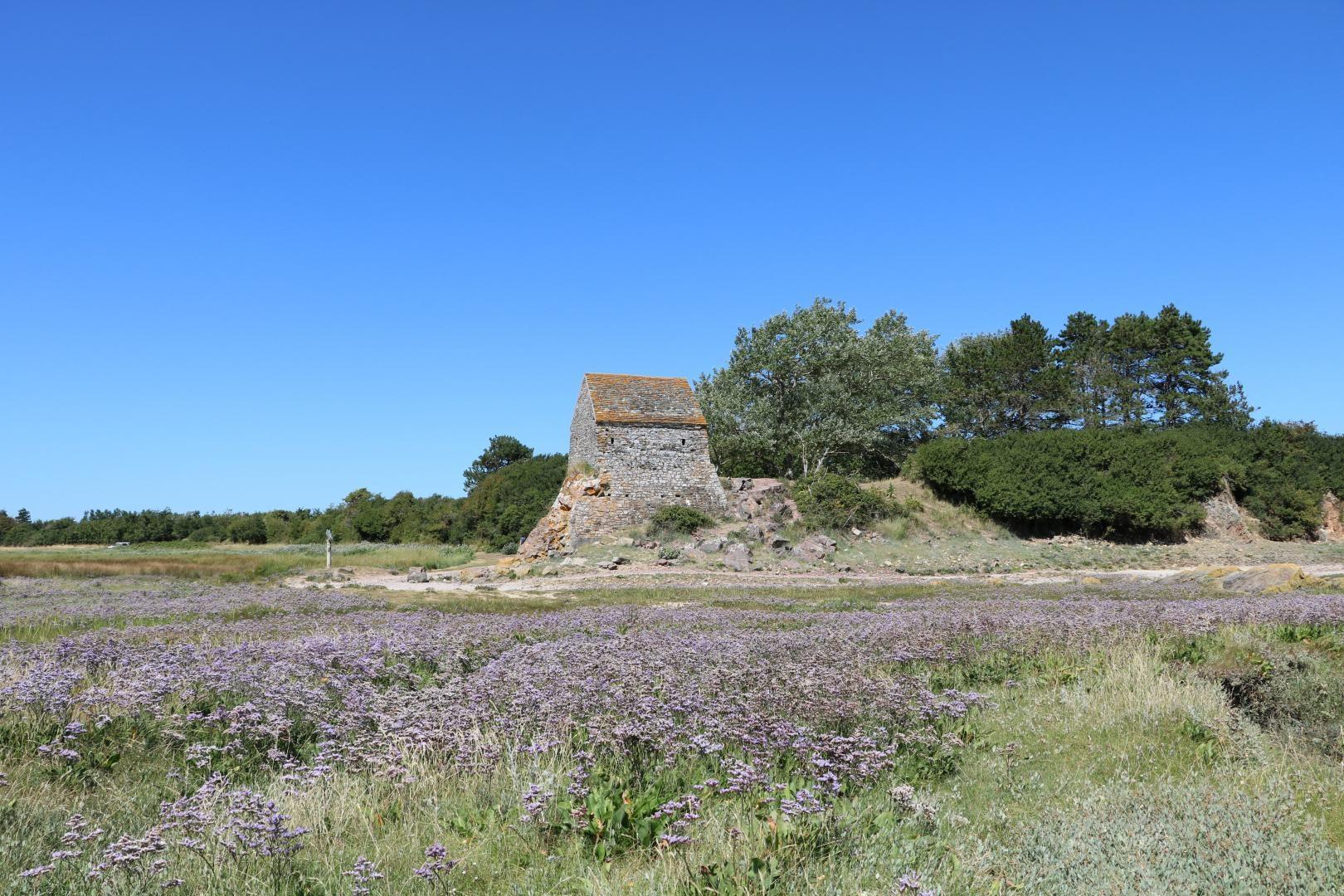 Gîtes de France G978, Périers - photo 56