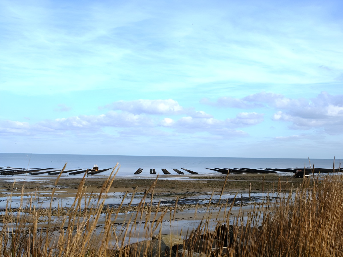 Parcs à huîtres à pied ou en attelage