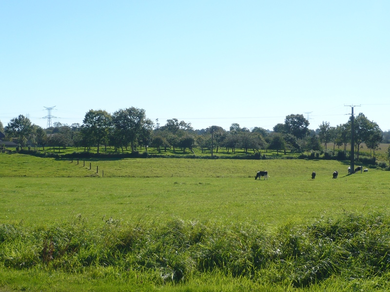Gîte de groupe G44410 > Le Pot à Feu, Le Guislain - photo 6