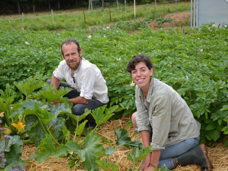 Vente de plants