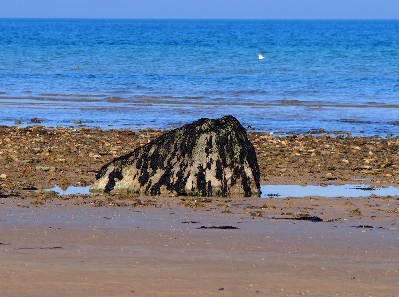 Les "gas", blocs erratiques venus d'ailleurs le long de la côte de Nacre