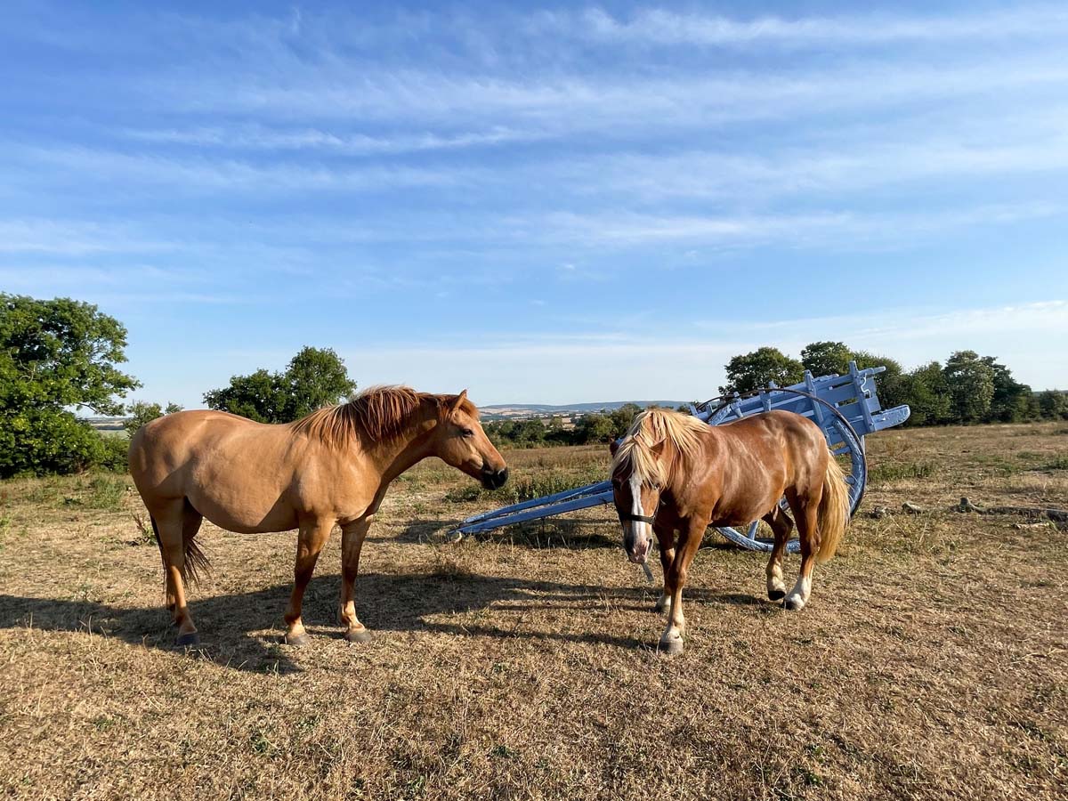 Gîte Le Banneau Bleu, Villers-Bocage - photo 9