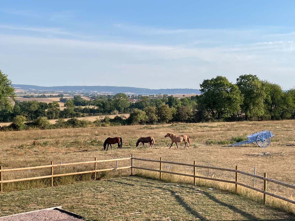 Gîte Le Banneau Bleu, Villers-Bocage - photo 15