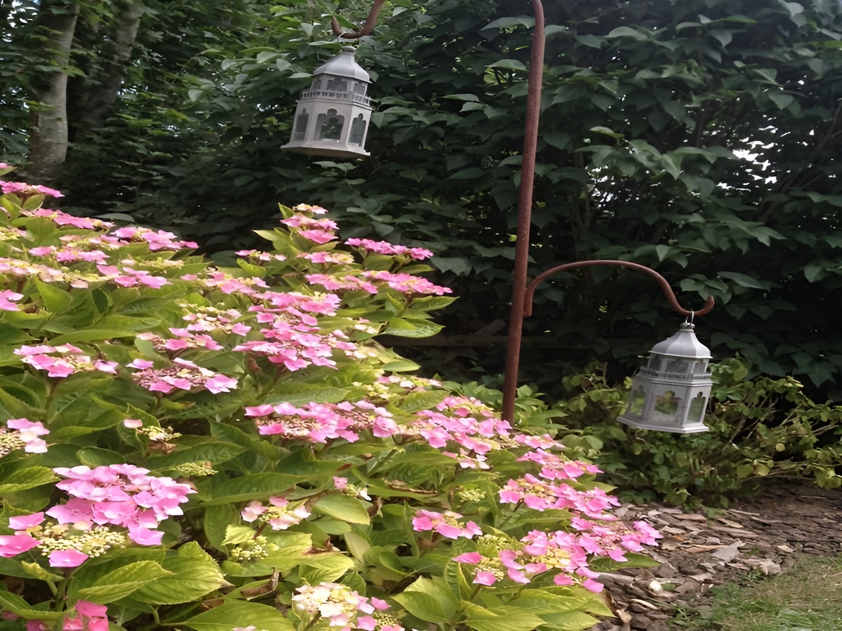 Le Moulin de la Martinière, Formigny La Bataille - photo 4