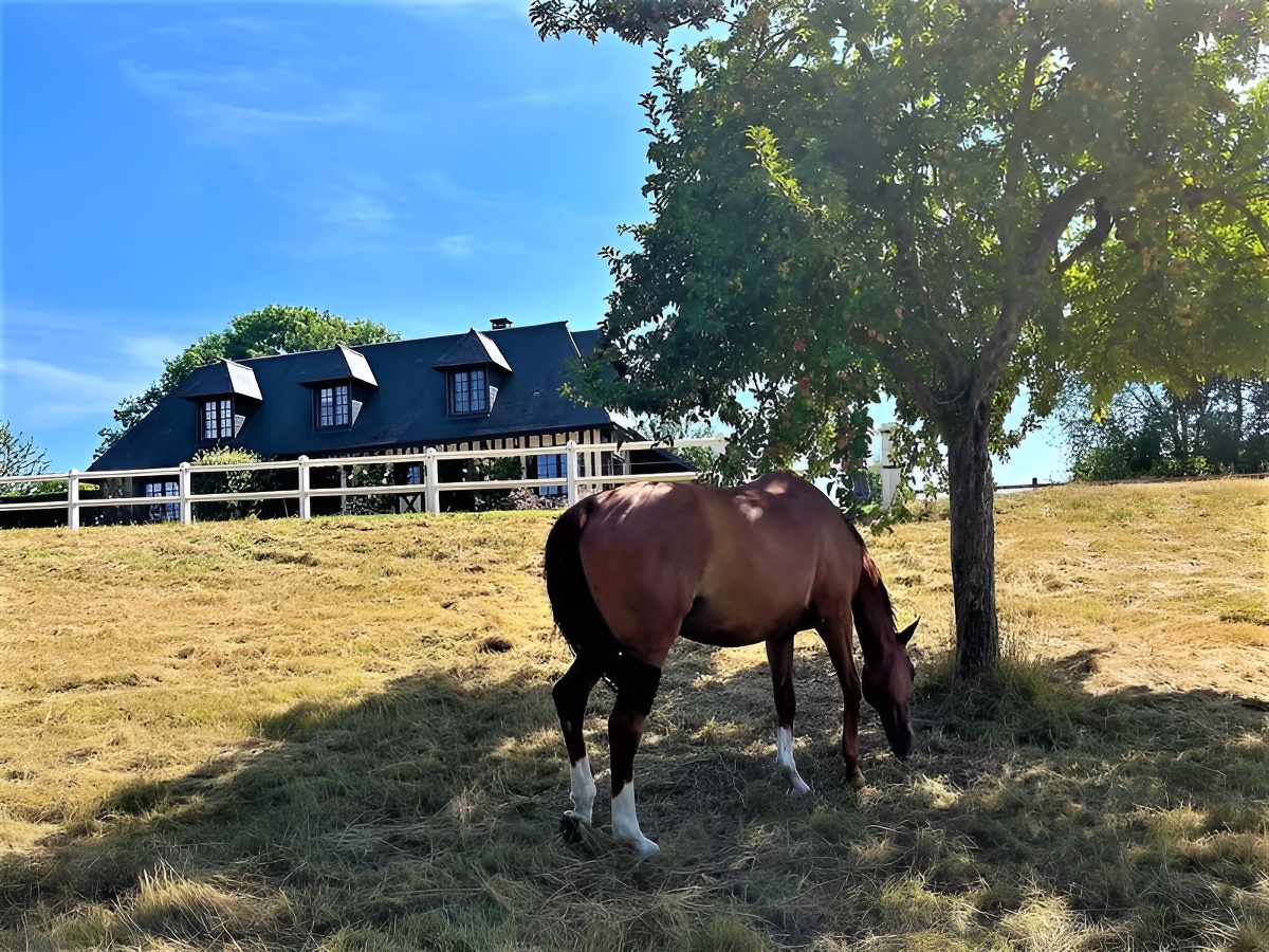 Le Gîte Pétale, Hermival-les-Vaux