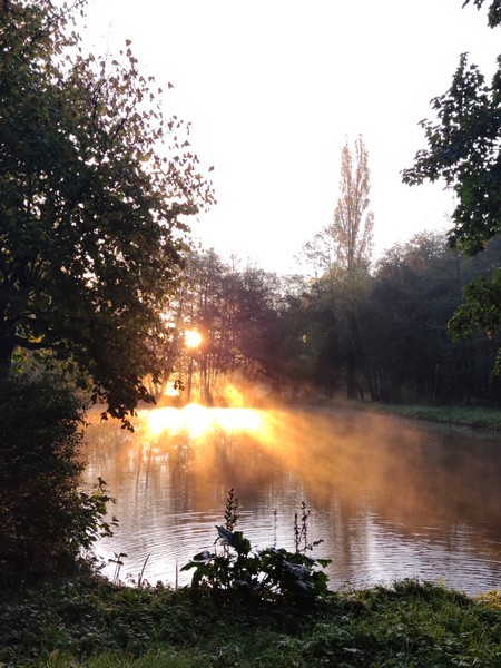 Meublé de tourisme > Lakeside Cottage - Le Petit Moulin, Courcy - photo 4