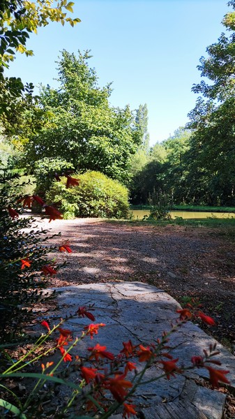 Meublé de tourisme > Lakeside Cottage - Le Petit Moulin, Courcy - photo 15