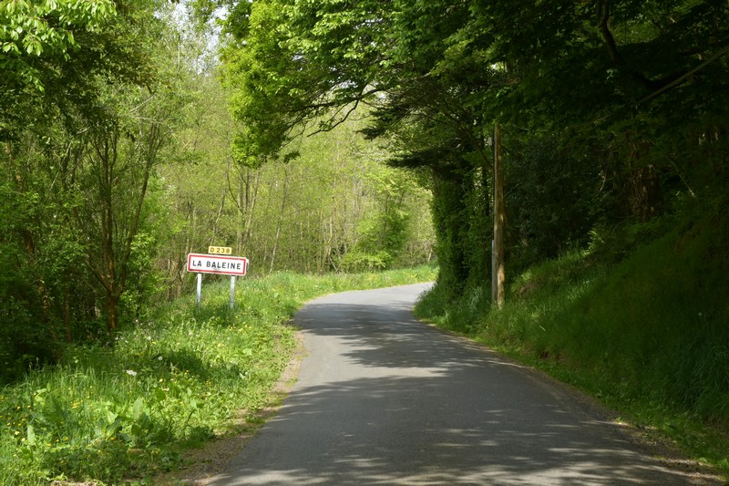 Meublé de tourisme > Gîte de la Baleine, Saint-Denis-le-Gast - photo 9