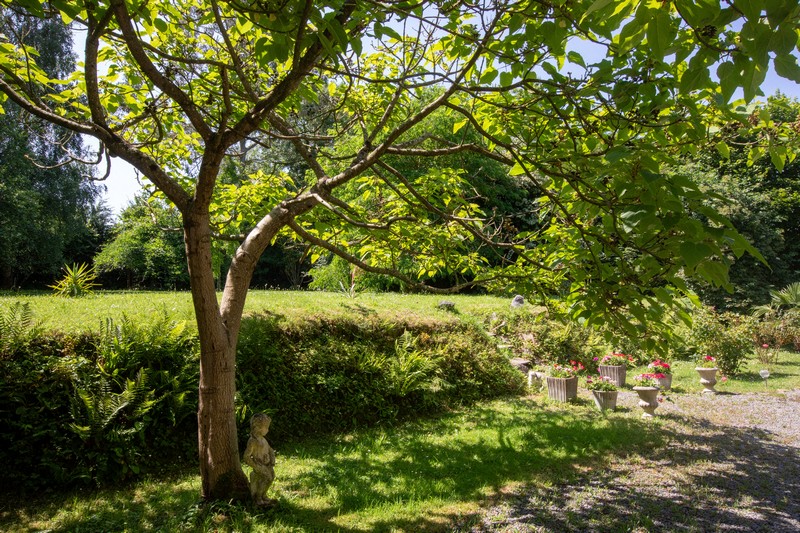 Meublé de tourisme > Le paradis des oiseaux