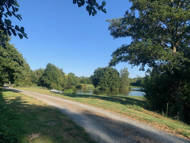 Meublé de tourisme > Gîte Guernesey