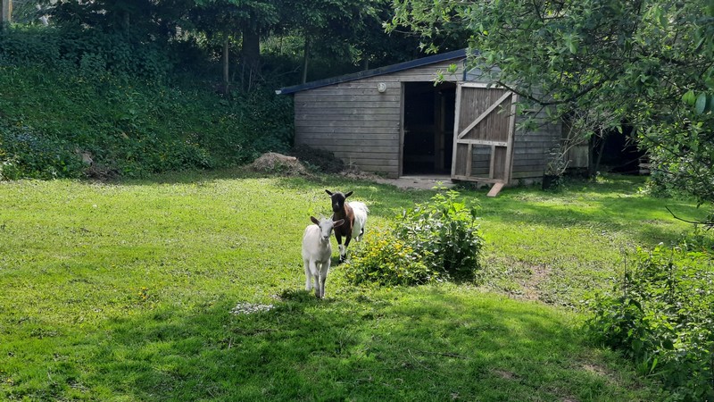 Meublé de tourisme > Gîte de Banoun, Saussey