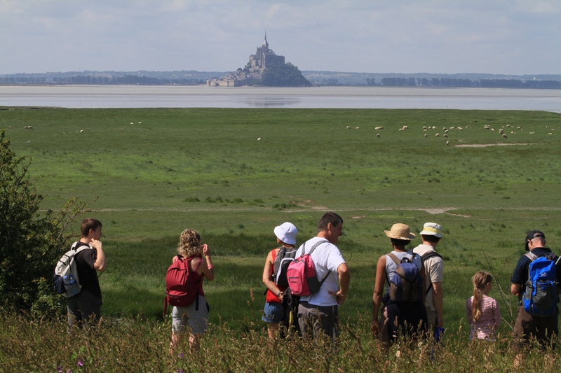 PR La baie du Mont-Saint-Michel, Genêts - photo 2