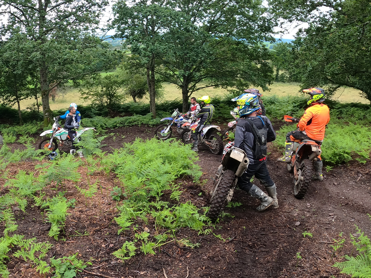 Duke Enduro, Esson - photo 5