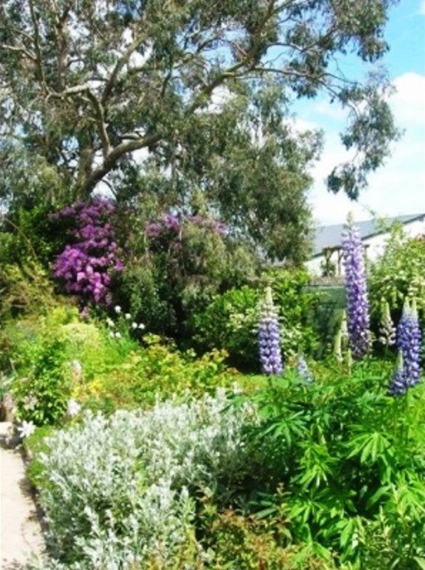 Chambre d'Hôtes > Les Hortensias, Cherbourg-en-Cotentin - photo 12